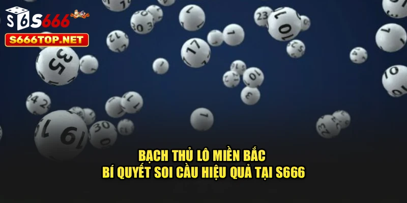 Bạch Thủ Lô Miền Bắc - Bí Quyết Soi Cầu Hiệu Quả Tại S666