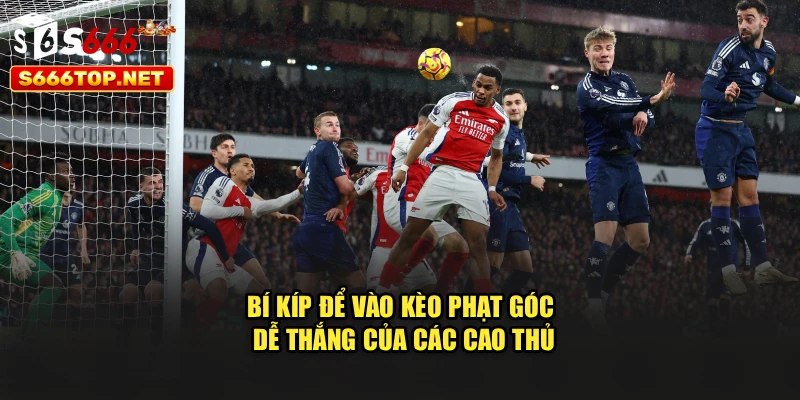 Bí kíp để vào kèo phạt góc dễ thắng của các cao thủ