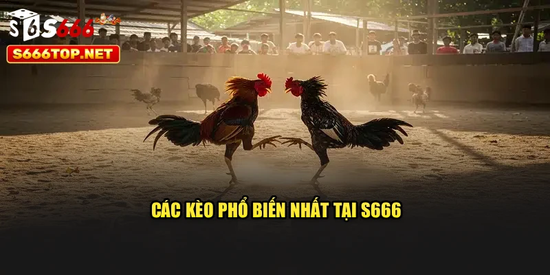 Các kèo phổ biến nhất tại S666