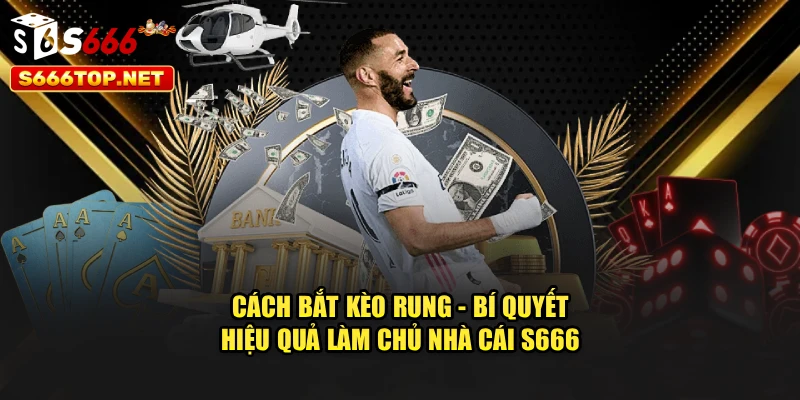 Cách Bắt Kèo Rung - Bí Quyết Hiệu Quả Làm Chủ Nhà Cái S666