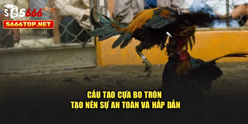 Cấu tạo cựa bo tròn tạo nên sự an toàn và hấp dẫn