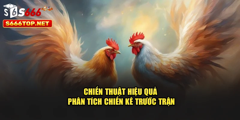 Chiến thuật hiệu quả phân tích chiến kê trước trận