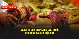 Đá Gà 12 Con Giáp S666 – Luật Chơi, Kèo Cược Và Mẹo Hiệu Quả