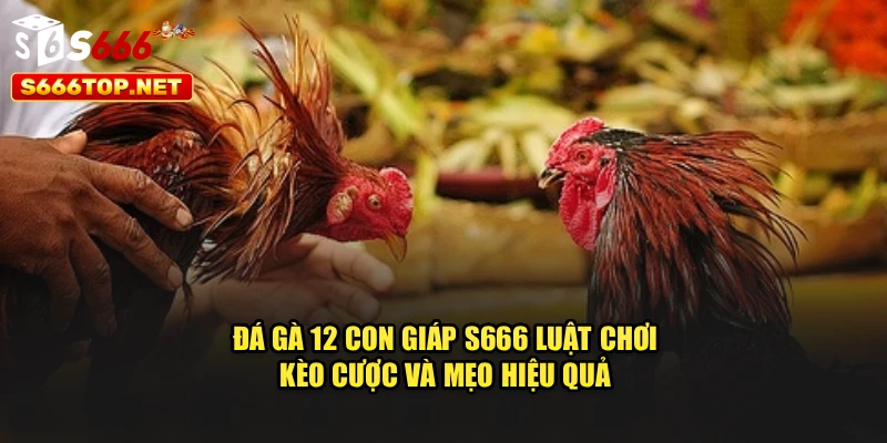 Đá Gà 12 Con Giáp S666 – Luật Chơi, Kèo Cược Và Mẹo Hiệu Quả