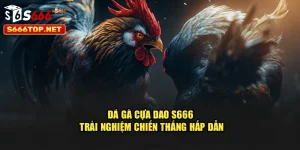 Đá Gà Cựa Dao S666 – Trải Nghiệm Chiến Thắng Hấp Dẫn