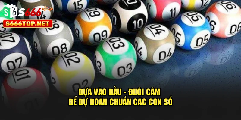 Dựa vào đầu - đuôi câm để dự đoán chuẩn các con số
