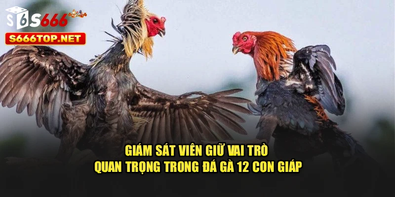 Giám sát viên giữ vai trò quan trọng trong đá gà 12 con giáp
