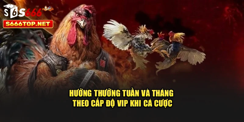 Hưởng thưởng tuần và tháng theo cấp độ VIP khi cá cược