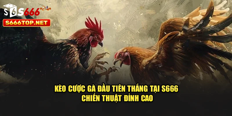 Kèo Cược Gà Đầu Tiên Thắng Tại S666 – Chiến Thuật Đỉnh Cao