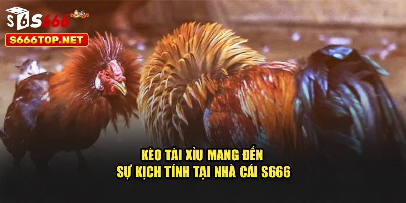 Kèo tài xỉu mang đến sự kịch tính tại nhà cái S666