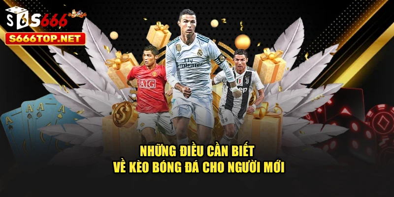 Những điều cần biết về kèo bóng đá cho người mới