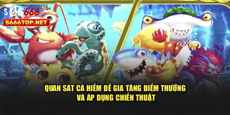Quan sát cá hiếm để gia tăng điểm thưởng, áp dụng chiến thuật