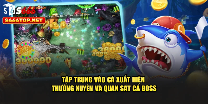 Tập trung vào cá xuất hiện thường xuyên và quan sát cá boss
