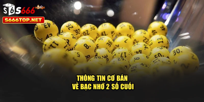 Thông tin cơ bản về bạc nhớ 2 số cuối