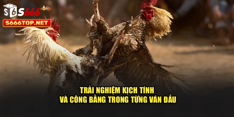 Trải nghiệm kịch tính và công bằng trong từng ván đấu