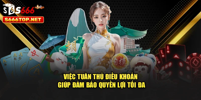 Việc tuân thủ điều khoản giúp đảm bảo quyền lợi tối đa